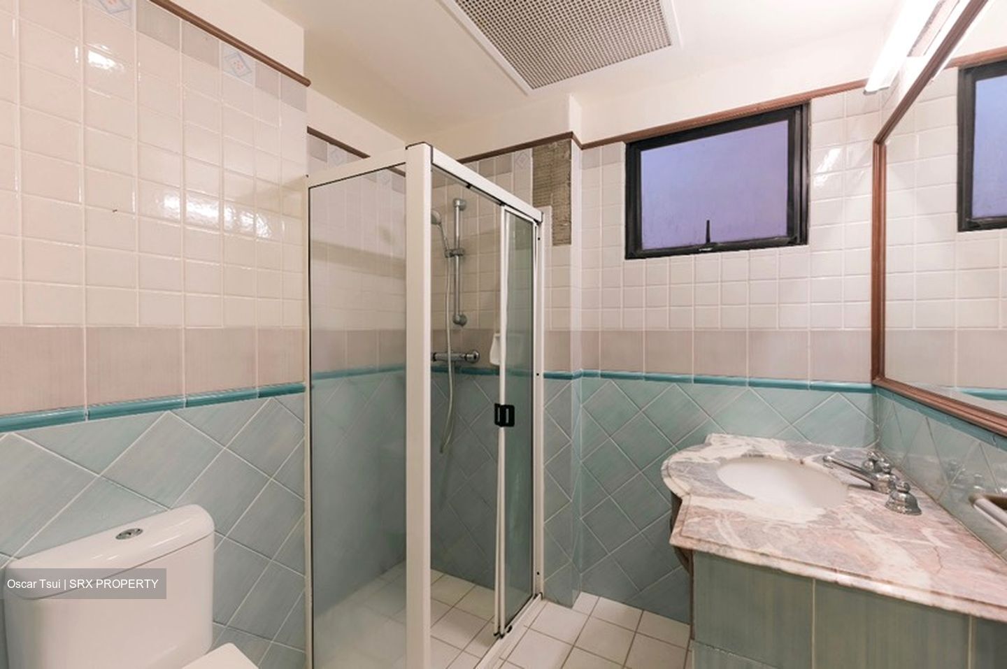 Dover Parkview (D5), Condominium #588245971
